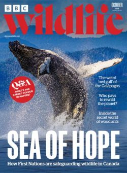 BBC Wildlife – October 2025