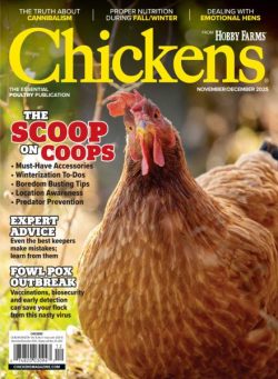 Chickens – November-December 2025
