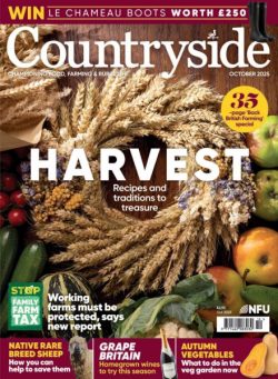 Countryside – October 2025
