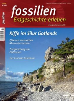 Fossilien – September-Oktober 2025