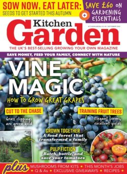 Kitchen Garden – September 2025