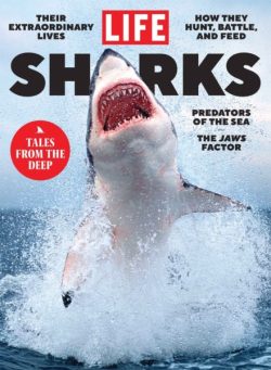 LIFE – Sharks 2025