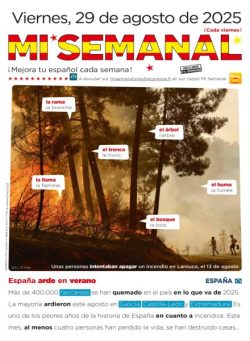 Mi Semanal – 29 Agosto 2025