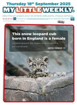 My Little Weekly – 19 Septembre 2025