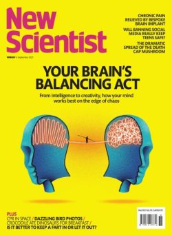 New Scientist International Edition – 6 September 2025