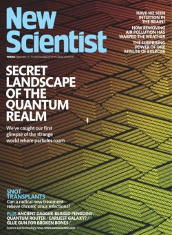 New Scientist USA – 13 September 2025