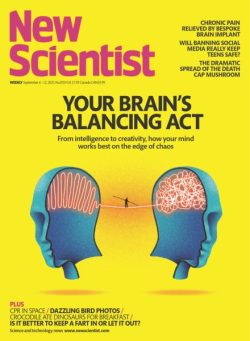 New Scientist USA – 6 September 2025