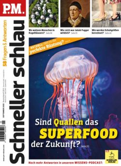PM Schneller Schlau – September 2025
