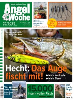 Angel Woche – 10 Oktober 2025