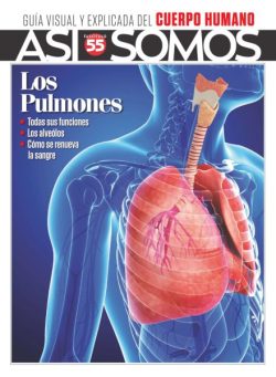Asi Somos El cuerpo humano – Octubre 2025