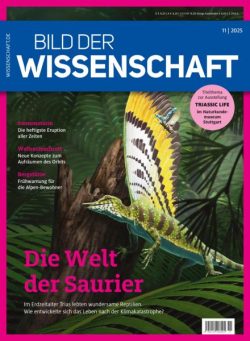Bild der Wissenschaft – November 2025