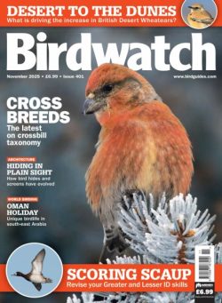 Birdwatch UK – November 2025