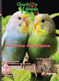 Chuchos y Demas Bichos – Agosto Septiembre 2025