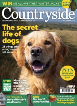 Countryside – November 2025