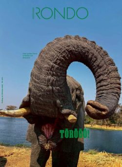 Der Standard Rondo – 24 Oktober 2025