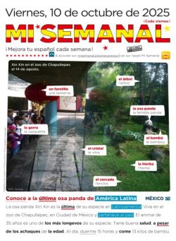 Mi Semanal – 10 Octubre 2025