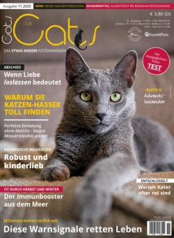 Our Cats – November 2025