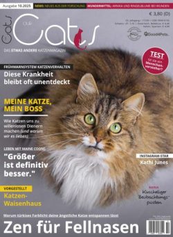 Our Cats – Oktober 2025