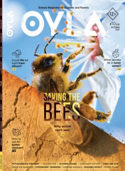 OYLA Magazine – October 2025