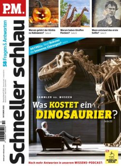 PM Schneller Schlau – Oktober 2025