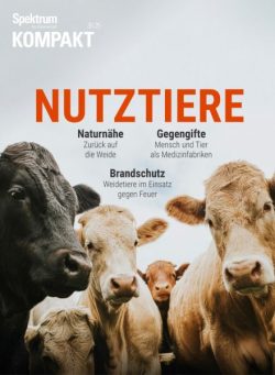 Spektrum Kompakt – 29 September 2025