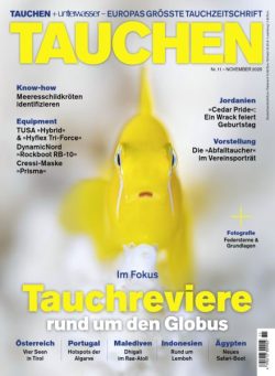 Tauchen – November 2025