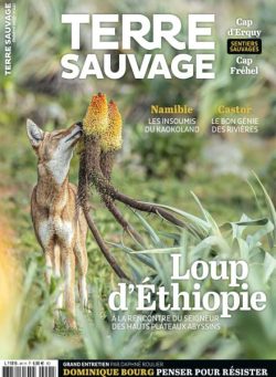 Terre Sauvage – Octobre 2025