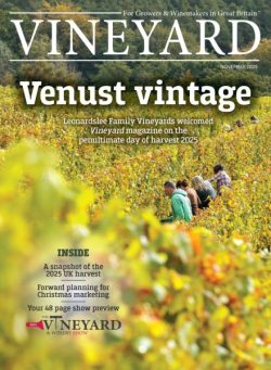 Vineyard – November 2025