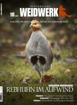 Weidwerk – Oktober 2025