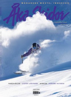 Aka Skidor – November 2025