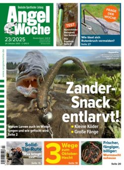 Angel Woche – 24 Oktober 2025