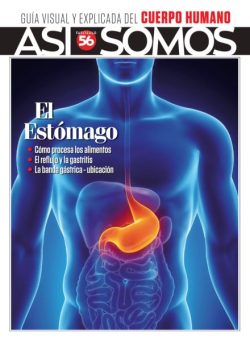 Asi Somos El cuerpo humano – Noviembre 2025