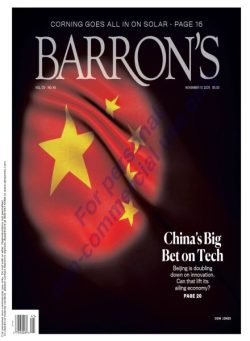 Barron’s – November 10 2025