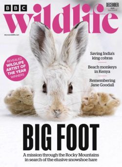BBC Wildlife – December 2025