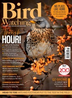 Bird Watching UK – November 2025