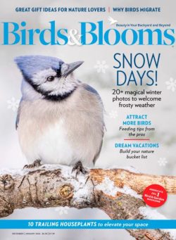 Birds & Blooms – December 2025 – January 2026