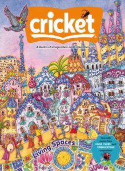 Cricket – November-December 2025