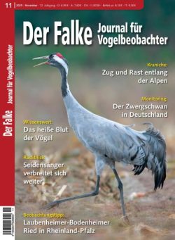 Der Falke Journal fur Vogelbeobachter – November 2025
