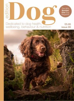 Edition Dog – Issue 85 2025