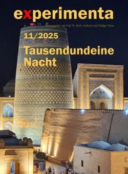 Experimenta – N 11 2025