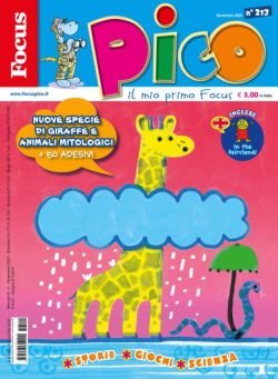 Focus Pico – Novembre 2025