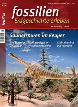 Fossilien – November-Dezember 2025