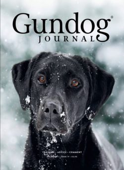 Gundog Journal – November 2025