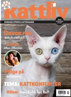 Kattliv – November 2025