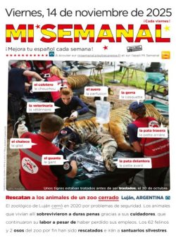 Mi Semanal – 14 Noviembre 2025