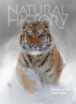 Natural History – November 2025