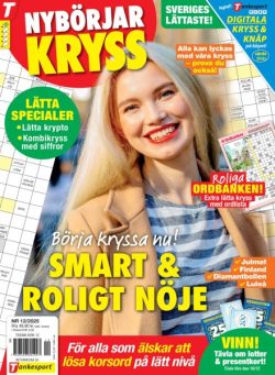 NybOrjarkryss – November 2025