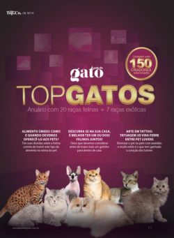 Pulo do Gato – Novembro 2025