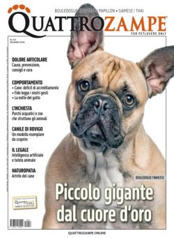 QuattroZampe – Novembre 2025