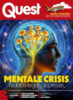 Quest – 13 November 2025